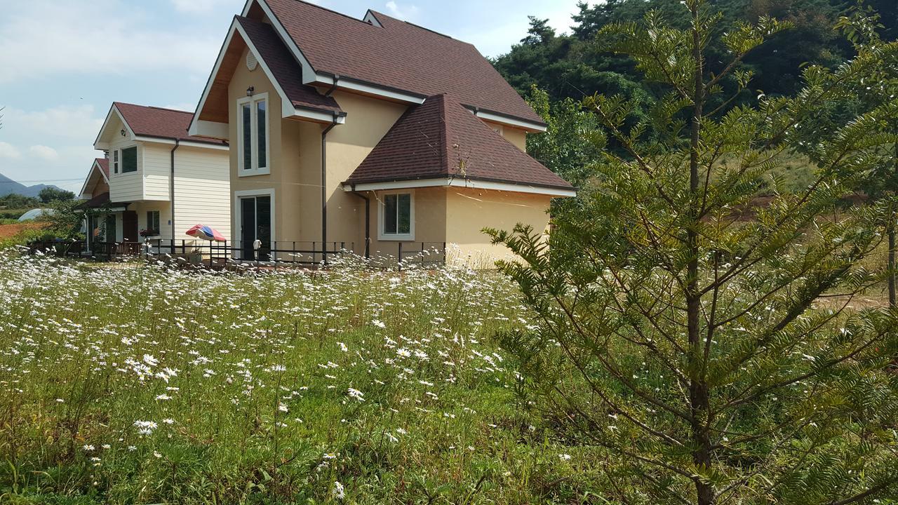 פיאונגצ'אנג Ecopia Pension מראה חיצוני תמונה