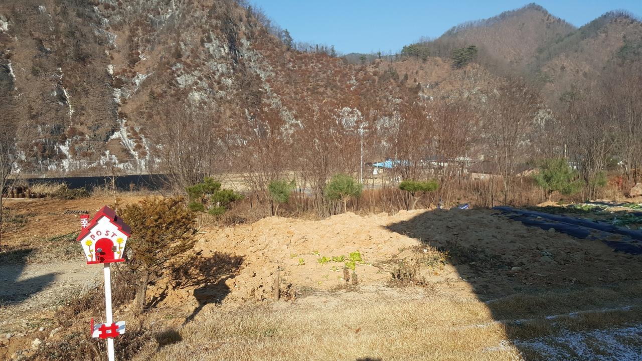 פיאונגצ'אנג Ecopia Pension מראה חיצוני תמונה